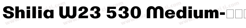 Shilia W23 530 Medium字体转换